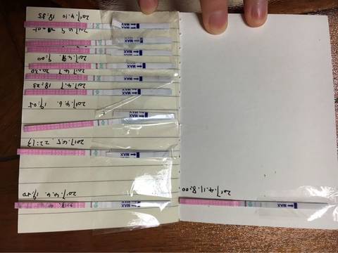 journal_insert_pic_725701699