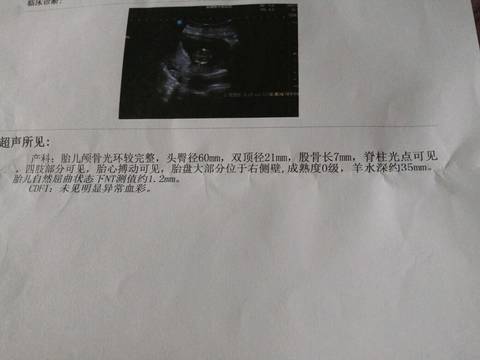 journal_insert_pic_725916208