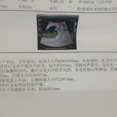 journal_insert_pic_725739287