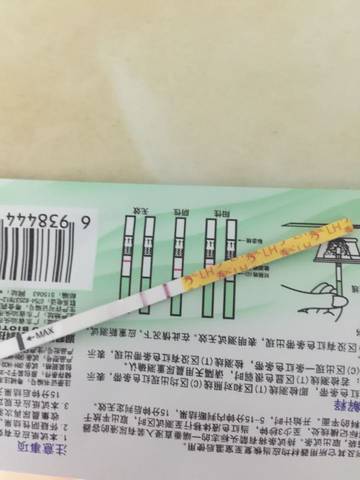 journal_insert_pic_726978541
