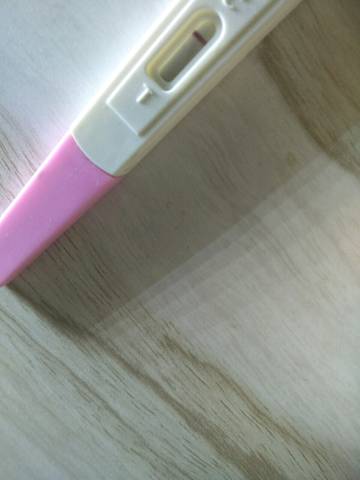 journal_insert_pic_726308784