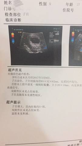 journal_insert_pic_727238207