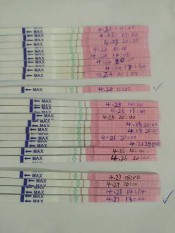 journal_insert_pic_728306743