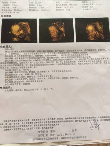 journal_insert_pic_727958064
