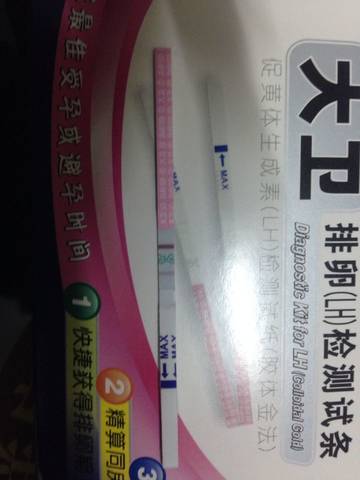 journal_insert_pic_728415994