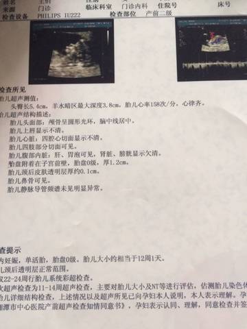 journal_insert_pic_727958103