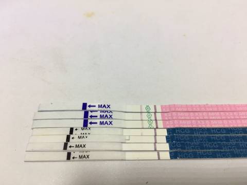 journal_insert_pic_728850412