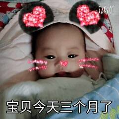 journal_insert_pic_728753074