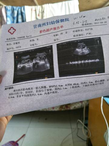 journal_insert_pic_729456284