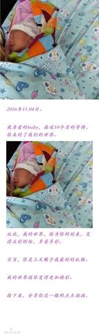 journal_insert_pic_729654380