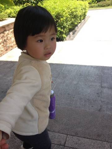 journal_insert_pic_730367132