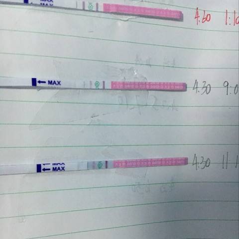 journal_insert_pic_730845230
