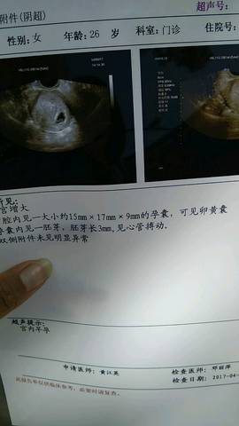 journal_insert_pic_730739968