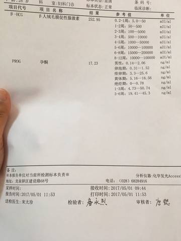 journal_insert_pic_731333690