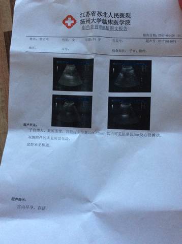 journal_insert_pic_731322938