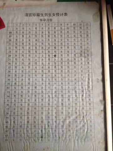 journal_insert_pic_731313730