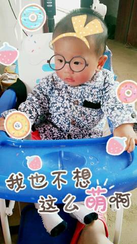 journal_insert_pic_731087792