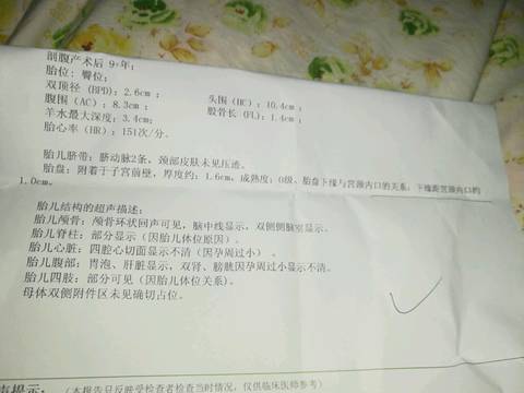 journal_insert_pic_731864492