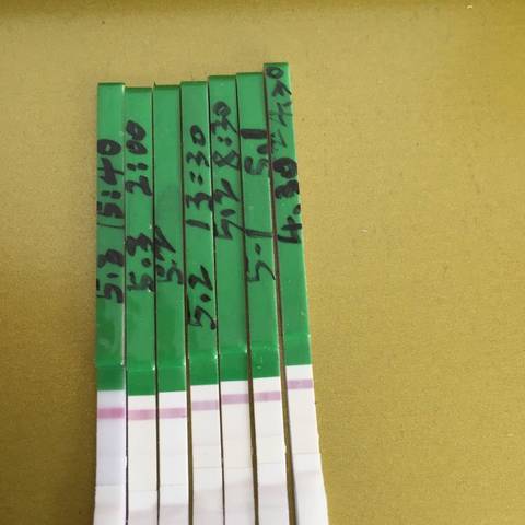 journal_insert_pic_733075456
