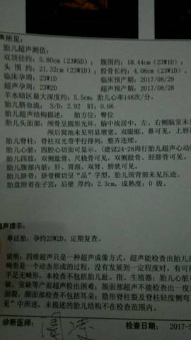 journal_insert_pic_733133048