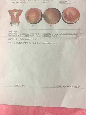 journal_insert_pic_732935097