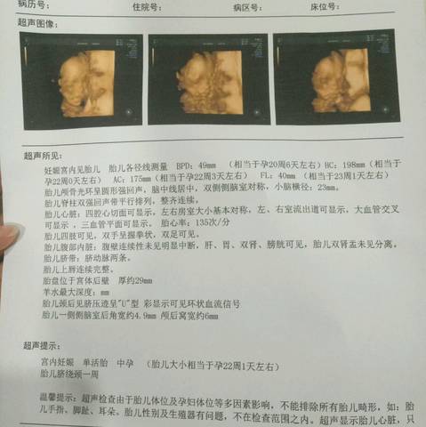 journal_insert_pic_733167287