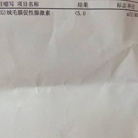 journal_insert_pic_733223251