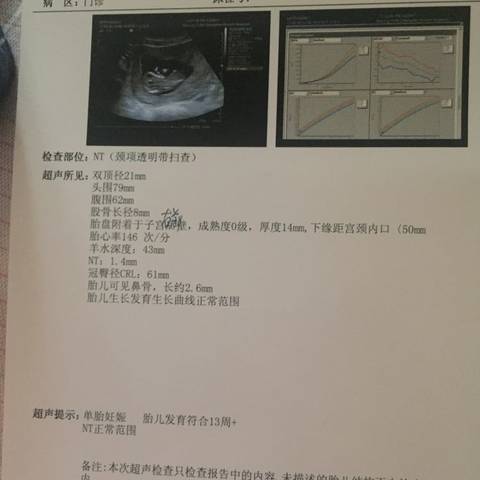 journal_insert_pic_733815855