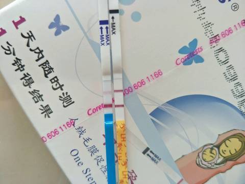 journal_insert_pic_733616729