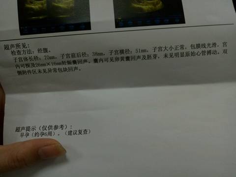 journal_insert_pic_733679144