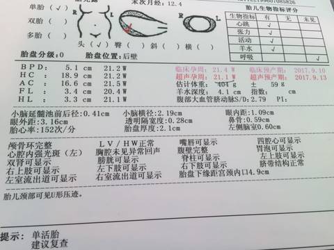 journal_insert_pic_733888894