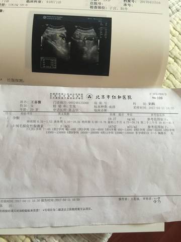 journal_insert_pic_733513069