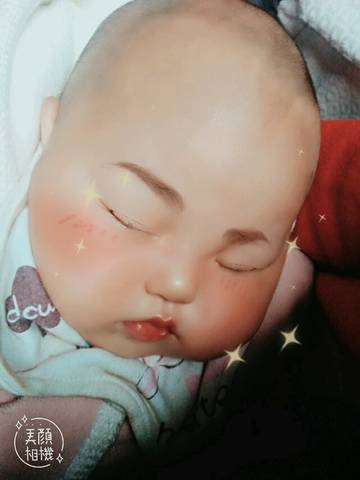 journal_insert_pic_734747405