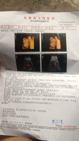 journal_insert_pic_734863967