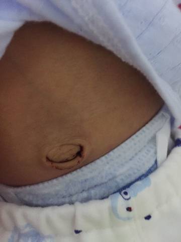 journal_insert_pic_735882205