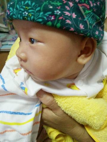 journal_insert_pic_735953599