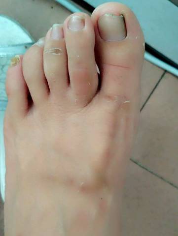 journal_insert_pic_736890921