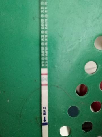 journal_insert_pic_736756396