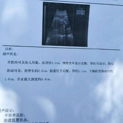 journal_insert_pic_737053184