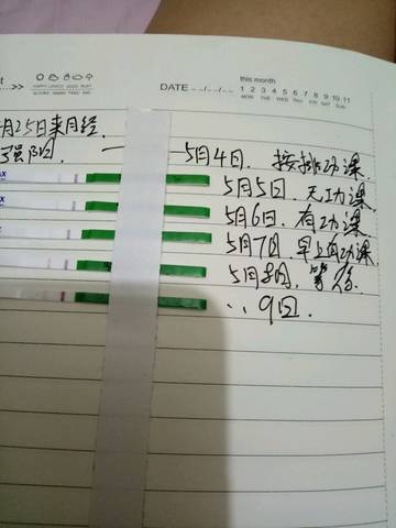 journal_insert_pic_738141516