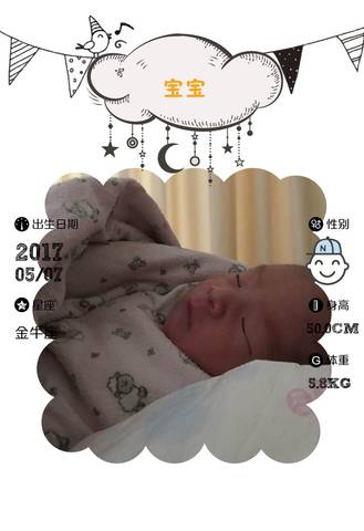 journal_insert_pic_737440676
