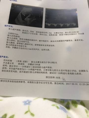 journal_insert_pic_737876823