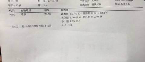 journal_insert_pic_738440848