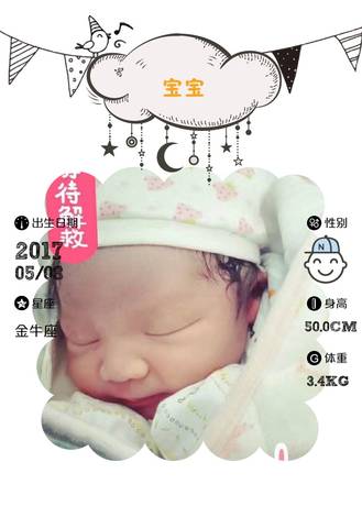 journal_insert_pic_739520765