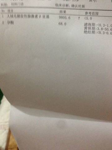 journal_insert_pic_739466332