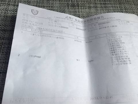 journal_insert_pic_739353024