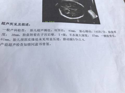 journal_insert_pic_739078910