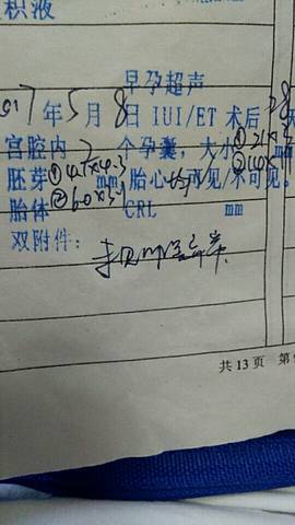 journal_insert_pic_739317265