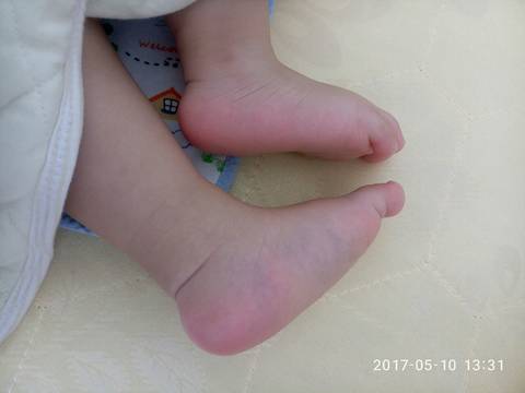journal_insert_pic_739510393