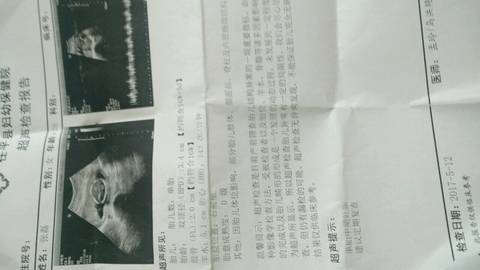 journal_insert_pic_739944395